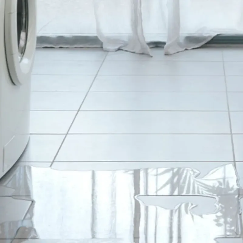 Appliance Leak Cleanup in Perryville, MO