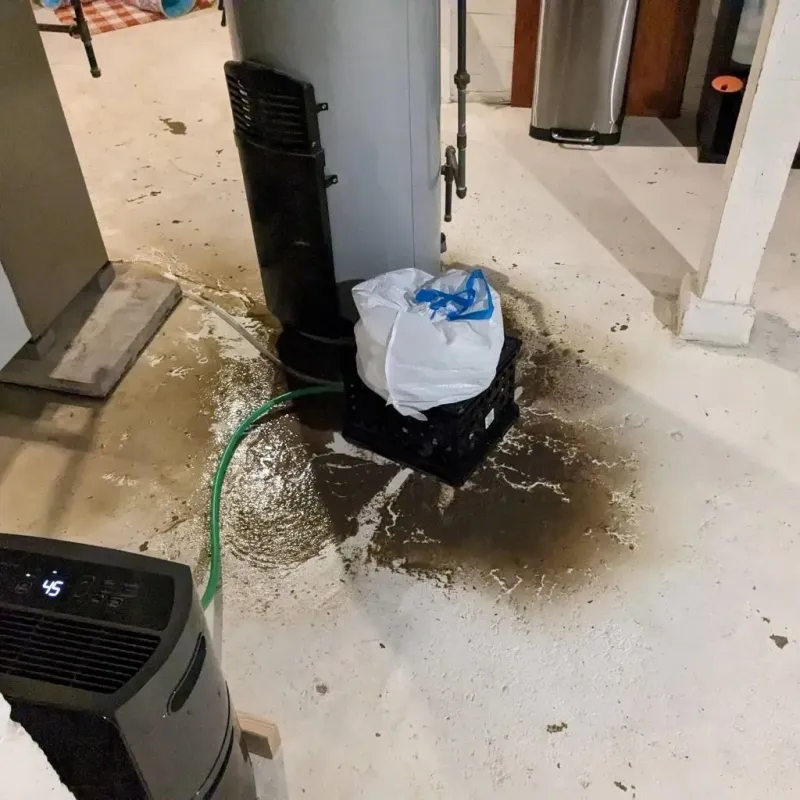 Sewage Backup Cleanup Service in Perryville, MO